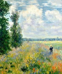 Poppy Field Claude Monet paint by numbers