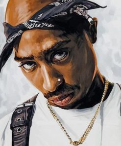 Tupac Shakur paint by numbers