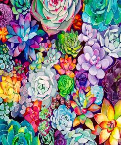 Succulents Plants paint by numbers