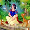 disney-snow-white-and-friends-paint-by-numbers