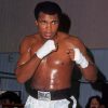 the-boxer-muhammad-ali-paint-by-number