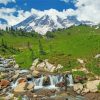 Mt-rainier-national-park-paint-by-numbers