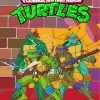 Ninja Turtles Superheroes Paint by numbers