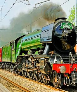 flying-scotsman-paint-by-numbers