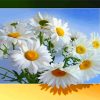 white-flowers-paint-by-numbers