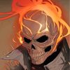 Ghost Rider Paint by numbers