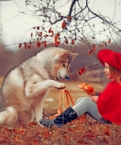 MOH_Husky-Little-girls-Red-Riding-510x407-1