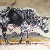 Black And White Nguni Cattle Paint by numbers