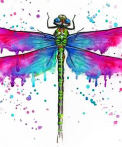 colorful-dragonfly-paint-by-numbers