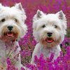 Cute West Highland Terriers Paint by numbers