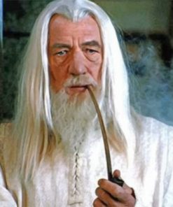 Gandalf Paint by numbers