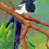 Magpie Bird On Stick Paint by numbers