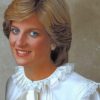 Princess Diana Paint by numbers