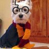 Westie Potter paint by numbers