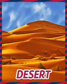 Deserts