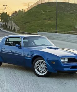 1978 Trans Am Paint By Numbers