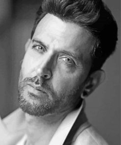 Actor Hrithik Roshan Paint By Numbers