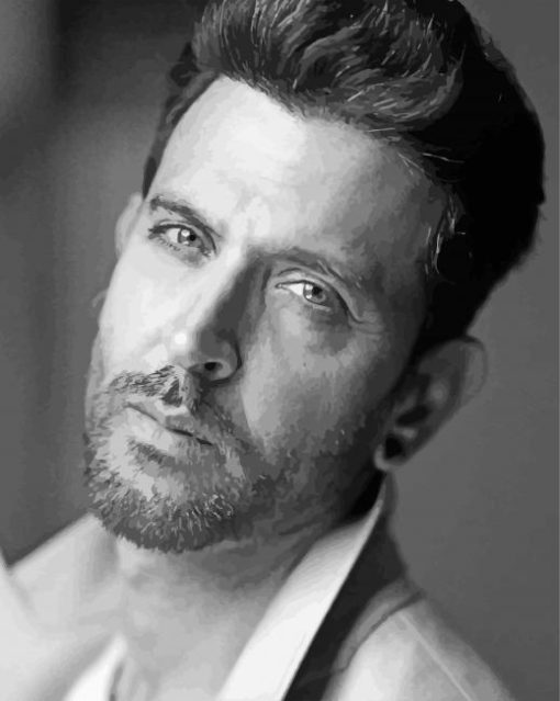 Actor Hrithik Roshan Paint By Numbers