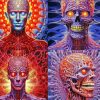 Alex Grey Paint By Numbers