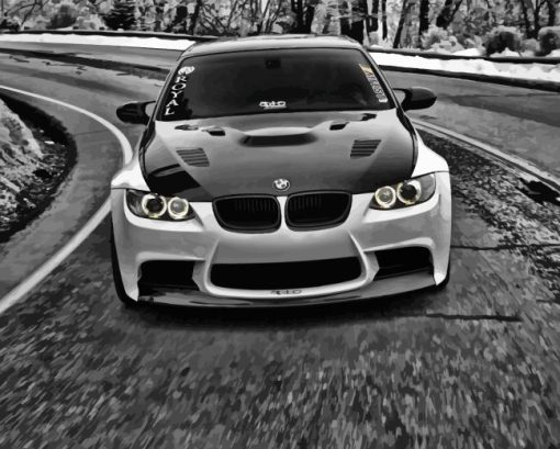 Black And White BMW Car Paint By Numbers