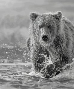 Black And White Bear Wildlife Paint By Numbers