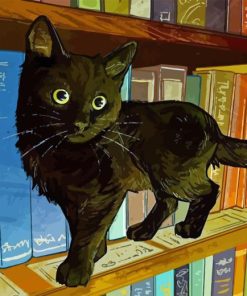 Black Cat In Library Paint By Numbers