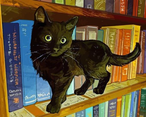 Black Cat In Library Paint By Numbers