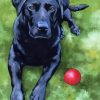 Black Labrador Art Paint By Numbers