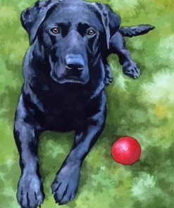 Black Labrador Art Paint By Numbers