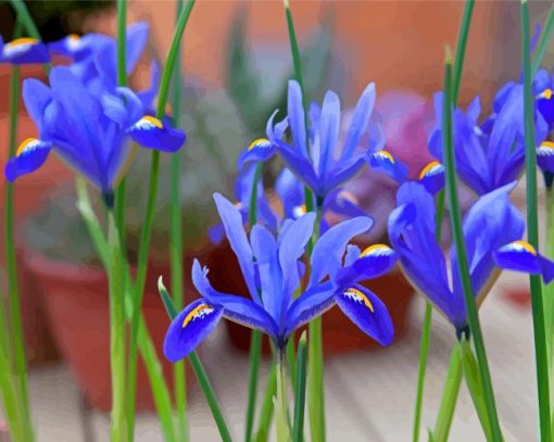 Bloom Blue Irises Paint By Numbers