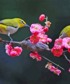 Blossom And Yellow Birds Paint By Numbers