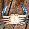 Blue Crab Paint By Numbers