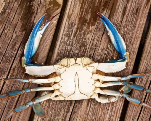 Blue Crab Paint By Numbers