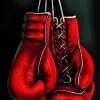 Boxing Gloves Paint By Numbers