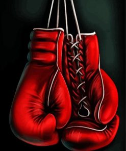 Boxing Gloves Paint By Numbers