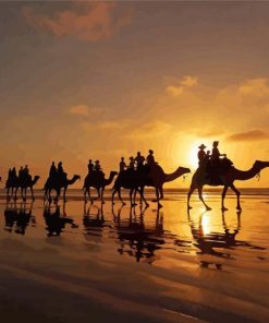 Broome Camels Sunset Silhouette Paint By Numbers