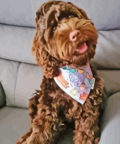 Brown Cockapoo Dog Paint By Numbers