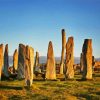 Callanish Paint By Numbers