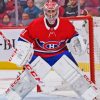 Carey Price Ice Hockey Player Paint By Numbers