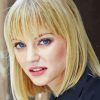 Cariba Heine Paint By Numbers