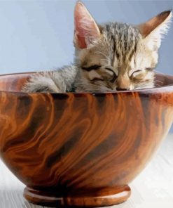 Cat In Wooden Tea Cup Paint By Numbers