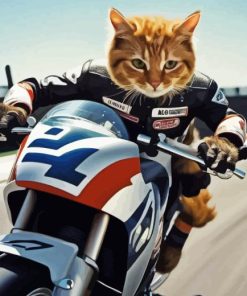 Cat On Motorcycle Paint By Numbers