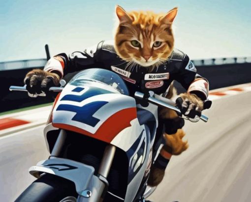 Cat On Motorcycle Paint By Numbers