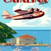 Catalina Island Poster Paint By Numbers