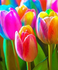 Colorful Tulips Paint By Numbers