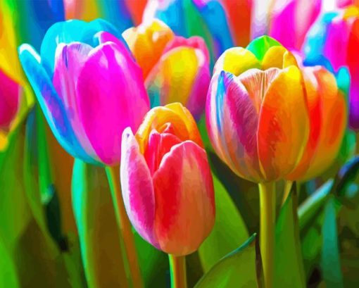 Colorful Tulips Paint By Numbers