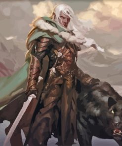 Drizzt Dourden Paint By Numbers