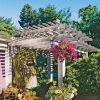 Pergola With Pink Flowers Paint By Numbers