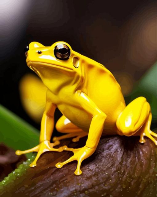 The Golden Poison Dart Frog Paint By Numbers