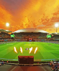 Adelaide Oval Paint By Numbers